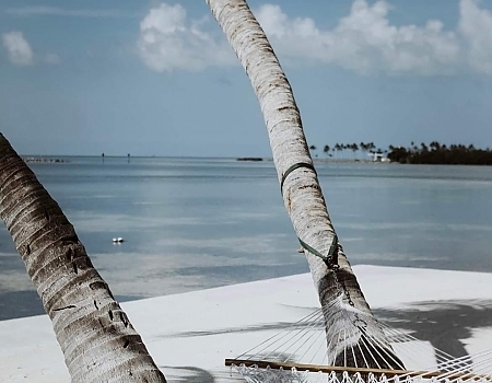 Hammock between two palm trees by the ocean in the Florida Keys.