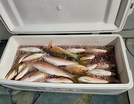 Cooler filled with freshly caught fish from a Florida Keys fishing charters trip.