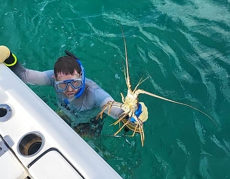 Snorkeler holding a lobster in the water in the Florida Keys.